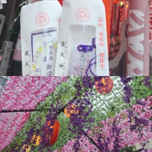 広島県広島市中区のソープ ロイヤル女子寮の写メ日記　スピ画像