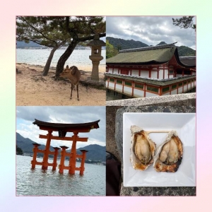 広島県広島市中区のソープ ロイヤル女子寮の写メ日記　【念願?】正解はここでした??画像